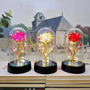 Rosa Encantada com Luz LED - Flor Eterna Decorativa em Cúpula de Acrílico