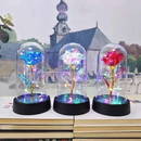 Rosa Encantada com Luz LED - Flor Eterna Decorativa em Cúpula de Acrílico